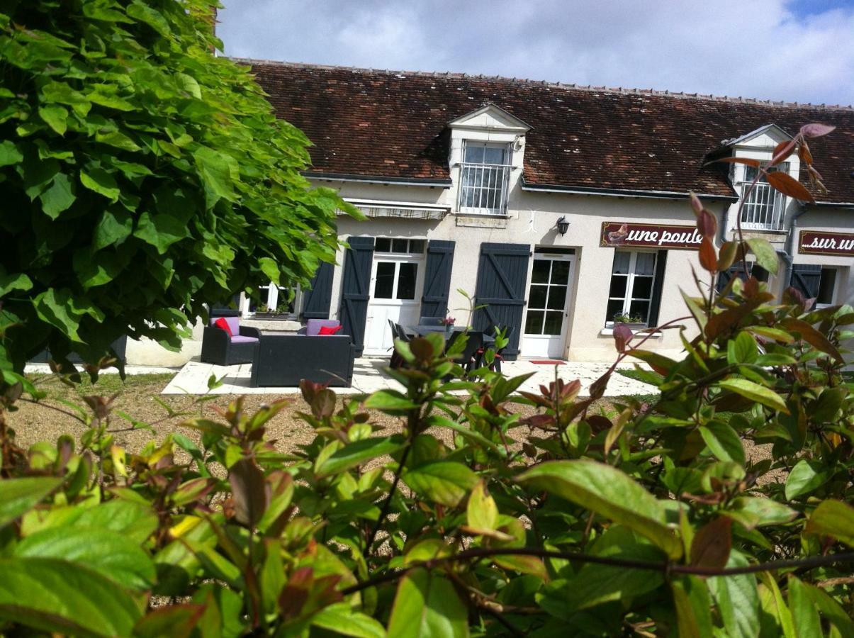 Gite Des Petites Poules Rousses 9 Personnes Zoo Beauval Et Chateaux De La Loire Choussy Exterior photo